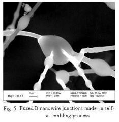 Self-Assembling Fused B Nanowire Junction