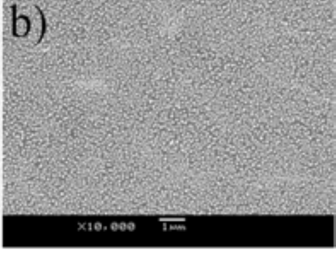 Electron Microscope Plasmonic Au Graphene