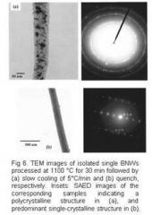 SEM image of Nanowire