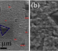 Triangular graphene grains on Cu substrates