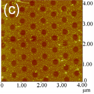 Graphene Nanohole Arrays