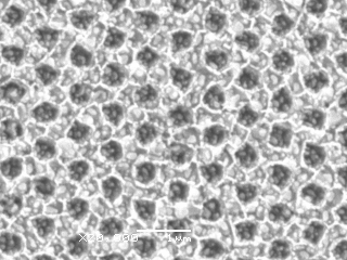 Au particles/nanopillar patterned FTO